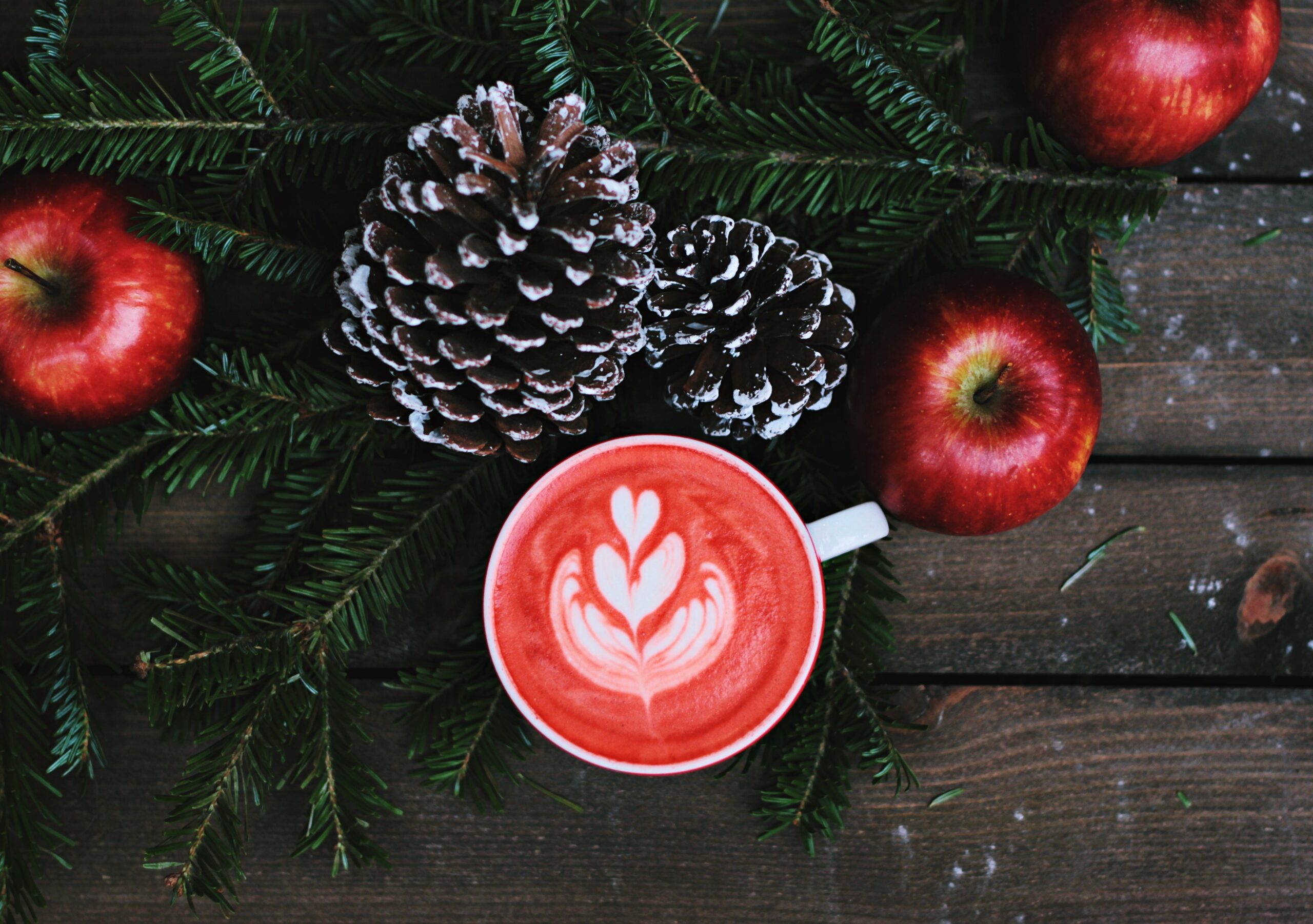 Christmas Giveaway – A Thank You