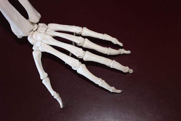 skeleton hand